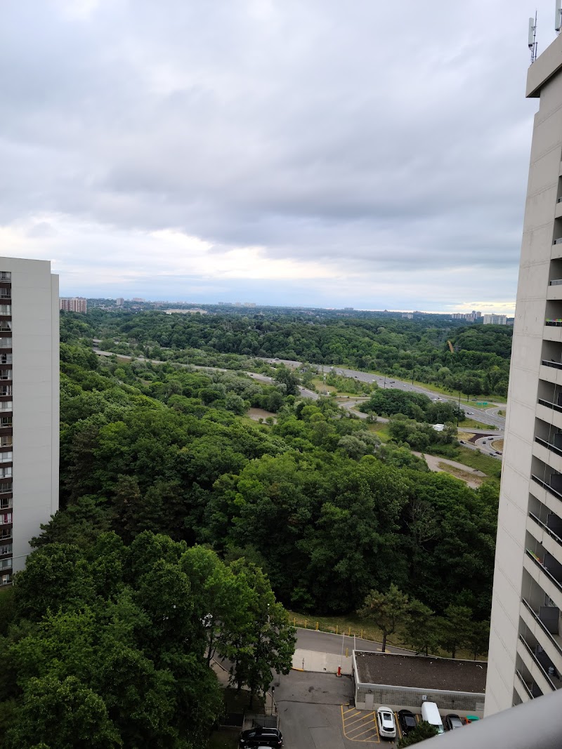 Musallah Dar-e-Arqam - 47 Musalla