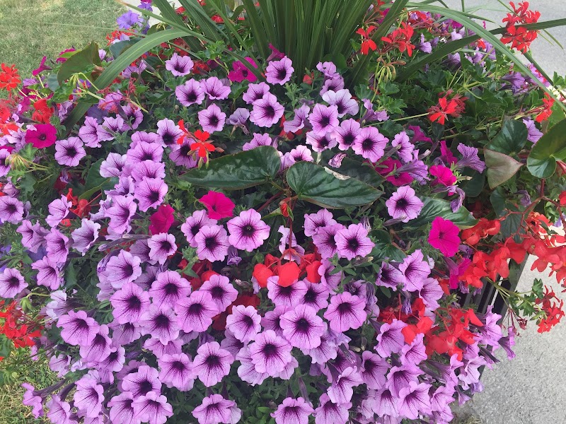 Baitul Mukarram Islamic Society